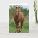 Search for gelding cards Horse