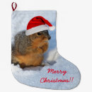 Search for squirrel christmas stockings Wildlife