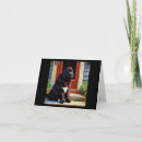 Search for newfoundland dog cards Canine