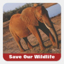 Search for save wildlife stickers Nature