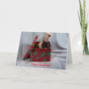Search for ferret christmas cards Animals