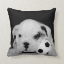 Search for english bulldog cushions Dog lover