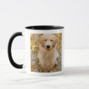 Search for golden retriever portrait mugs Sitting