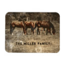 Search for horses magnets Equine