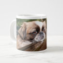 Search for purebred mugs Cute baby animal