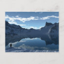 Search for antarctic postcards Animal