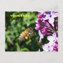 Search for pollen postcards Flowers