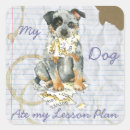 Search for australian heeler stickers Acd