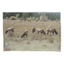 Search for national park pillowcases Elk