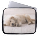 Search for lying electronics Baby animals
