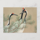 Search for bird print postcards Nature