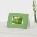 Search for annes cards Nature