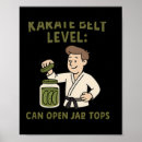 Search for karate belt posters Boxing