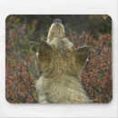 Search for wolf pack mousepads Wolves