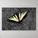 Search for swallowtail art Yellow