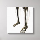 Search for dimensional canvas prints Healthcare