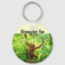 Search for orangutan key rings Primates