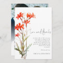 Search for red wildflowers cards Boho