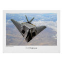 Search for nighthawks posters Fighter