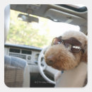 Search for moving day stickers On the move