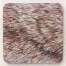 Search for lynx coasters Nature