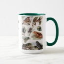 Search for vintage frog mugs Amphibian