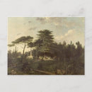 Search for cedar postcards Park