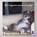 Search for bra posters Cat