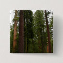 Search for national forest badges Trees
