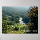 Search for borneo posters Rainforest