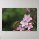 Search for copy space posters Pink