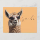 Search for alpaca postcards Funny