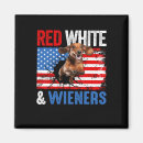 Search for wien magnets Symbol