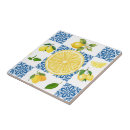 Search for country french tiles Mediterranean
