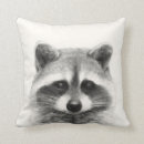 Search for raccoon cushions Animal