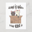 Search for funny cat quotes postcards Kitten