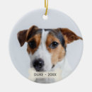 Search for jack russell dog christmas tree decorations Cute