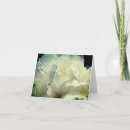 Search for blank floral note cards Photography