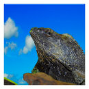 Search for lizard posters Reptile