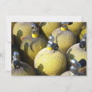 Search for diving scuba invitations Swimming