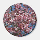 Search for blue springs magnets Nature