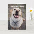 Search for dog jokes cards Silly
