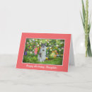 Search for flowers and cats cards Mother