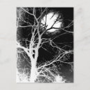 Search for full moon halloween cards Night
