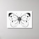 Search for vector butterfly art Nature