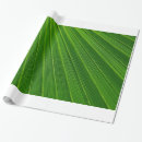 Search for palm leaf wrapping paper Botanical