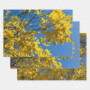 Search for nature wrapping paper Landscape