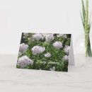 Search for purple birthday cards Pretty