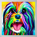 Search for tibetan terrier posters Canine