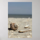 Search for group of objects posters No people